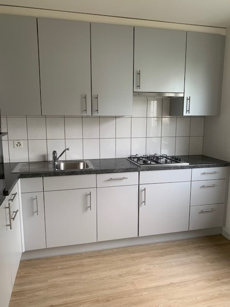Moderne grosse 2.5-Zimmer-Wohnung (4)