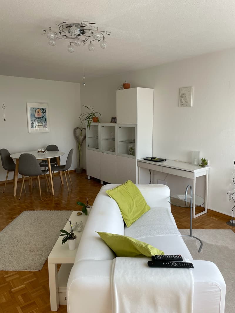 Moderne grosse 2.5-Zimmer-Wohnung (5)