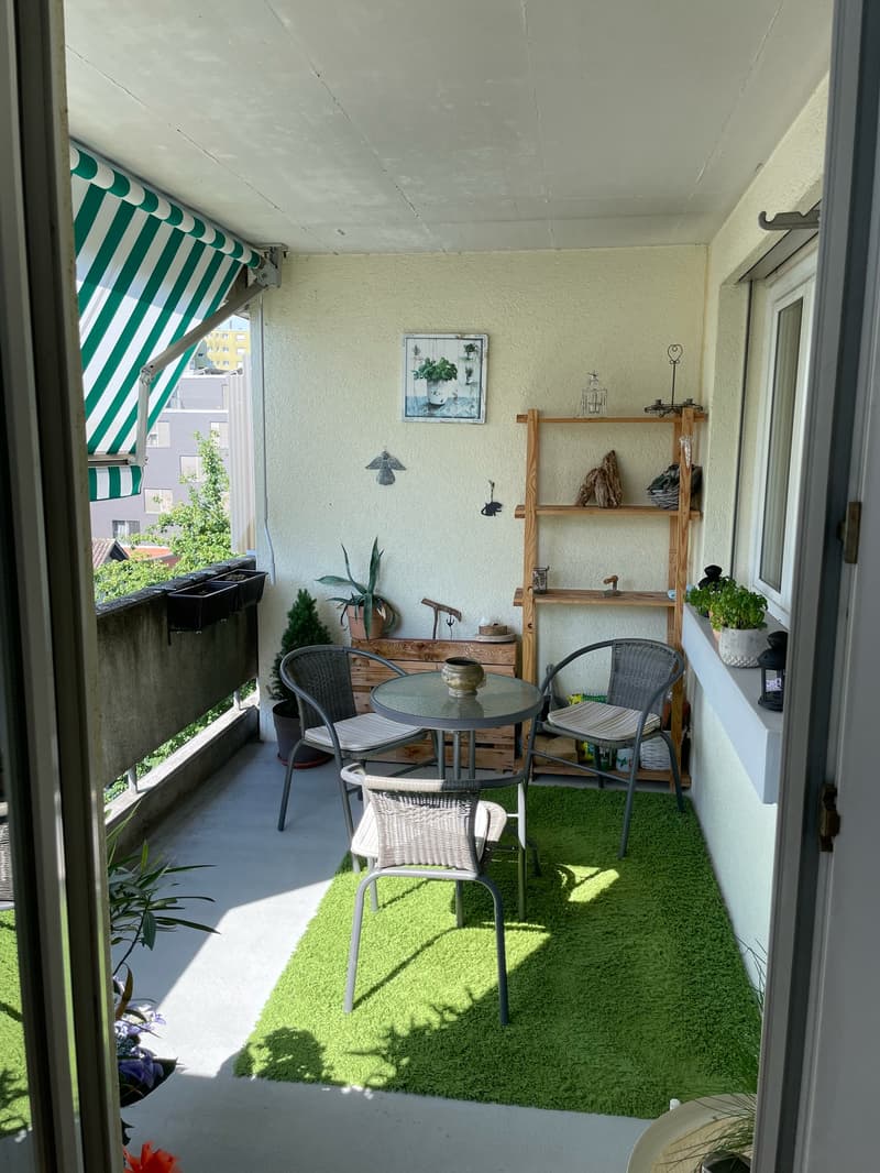 Moderne grosse 2.5-Zimmer-Wohnung (12)