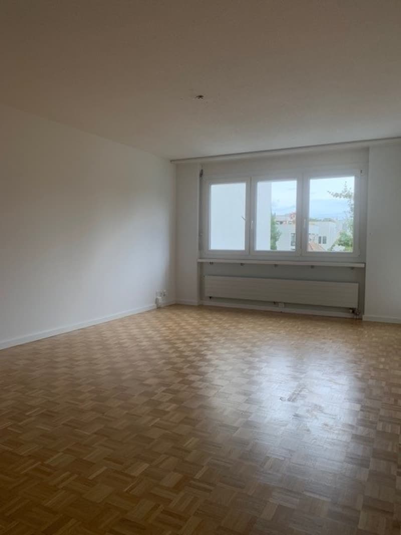Moderne grosse 2.5-Zimmer-Wohnung (8)