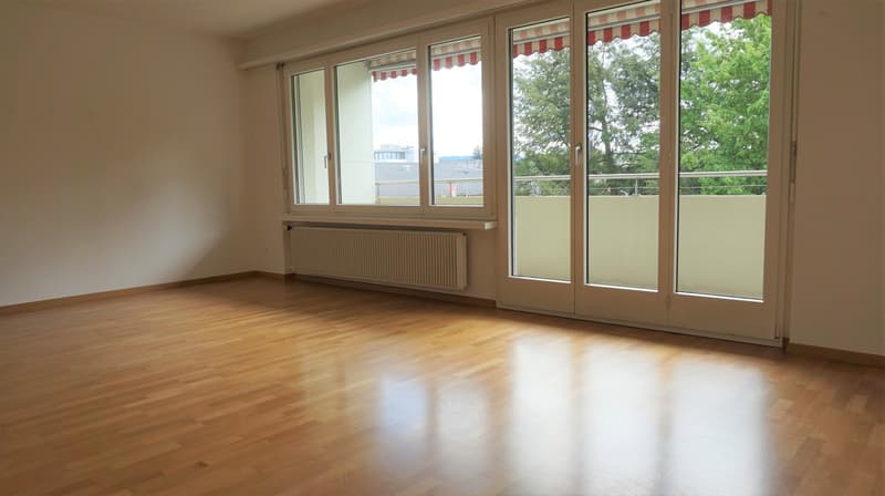 grosse 4.5-Zimmer-Wohnung nähe Bahnhof - die Familienwohnung (1)