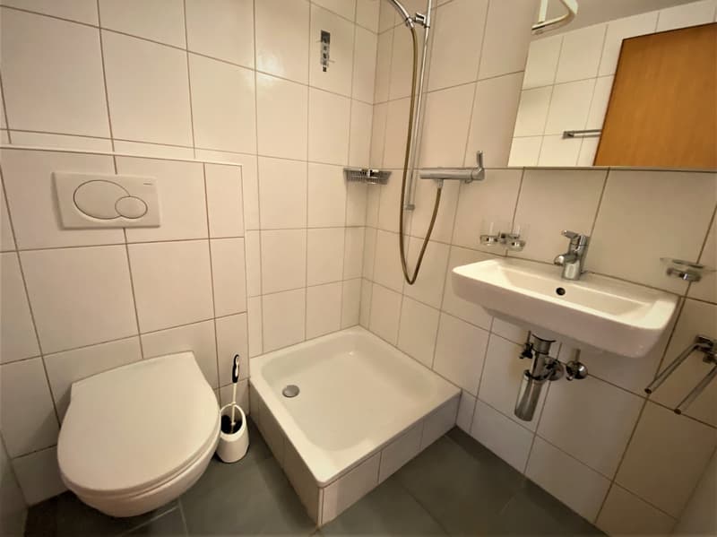 Stilvoll und gemütlich: 1-Zimmerwohnung im Erdgeschoss (6)