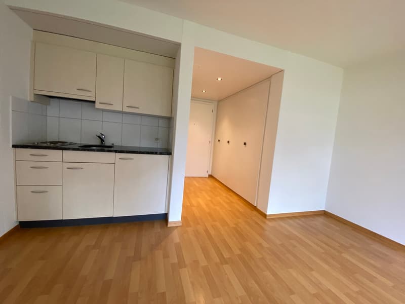 Stilvoll und gemütlich: 1-Zimmerwohnung im Erdgeschoss (4)