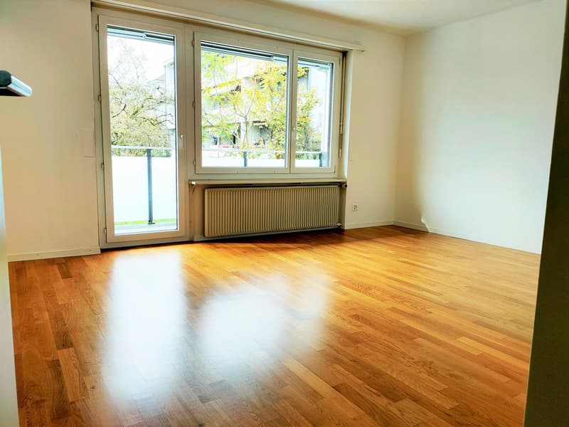 Wohnen in der Nähe vom Aareufer (2)