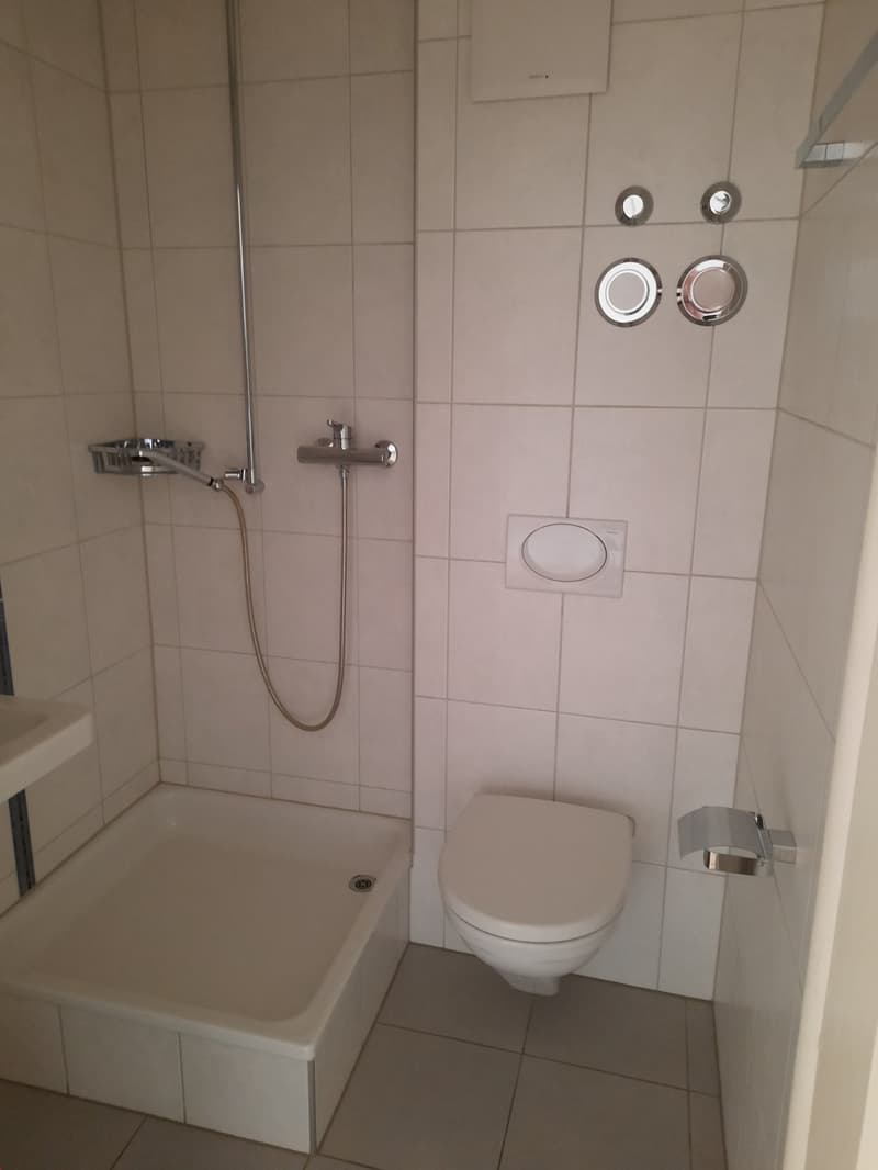 Bel appartement de 4,5 pièces lumineux (9)