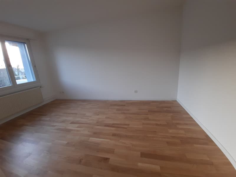 Bel appartement de 4,5 pièces lumineux (5)