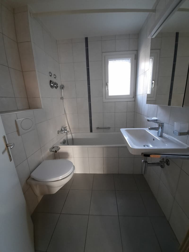 Bel appartement de 4,5 pièces lumineux (8)