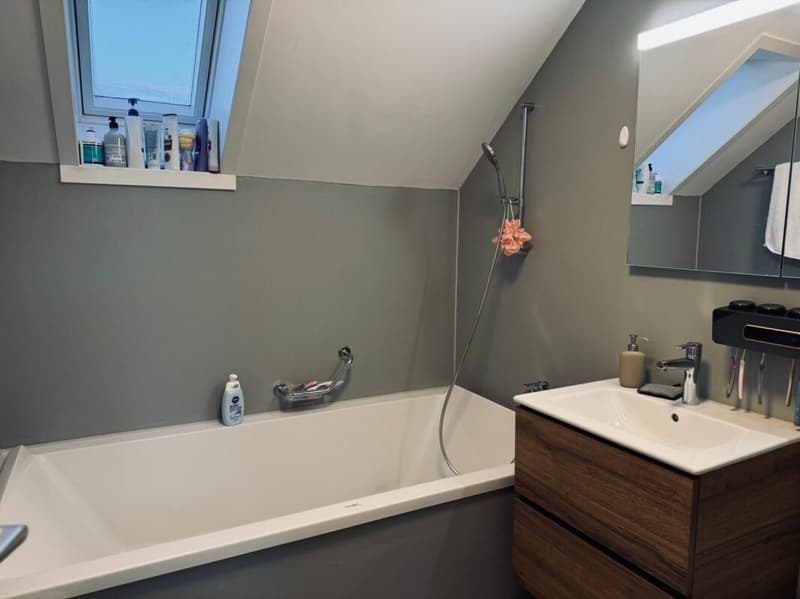Maison unifamiliale à vendre avec réserve de terrain à bâtir CHF 1'030'000.- (10)