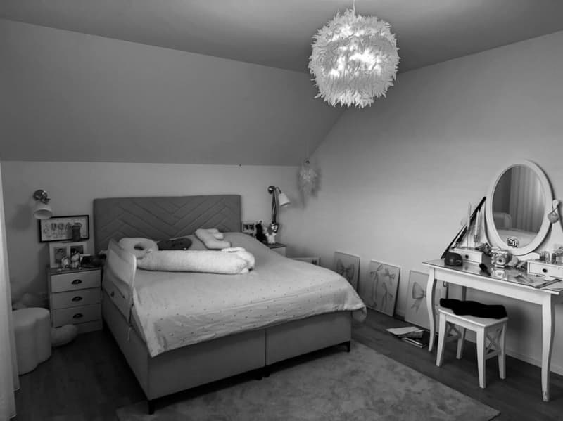 Maison unifamiliale à vendre avec réserve de terrain à bâtir CHF 1'030'000.- (8)