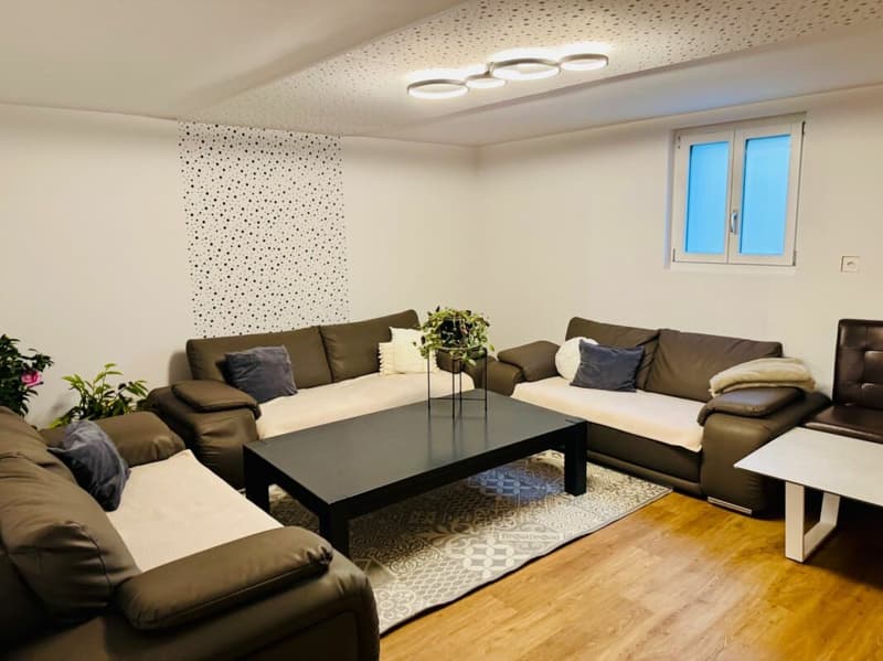 Maison unifamiliale à vendre avec réserve de terrain à bâtir CHF 1'030'000.- (15)