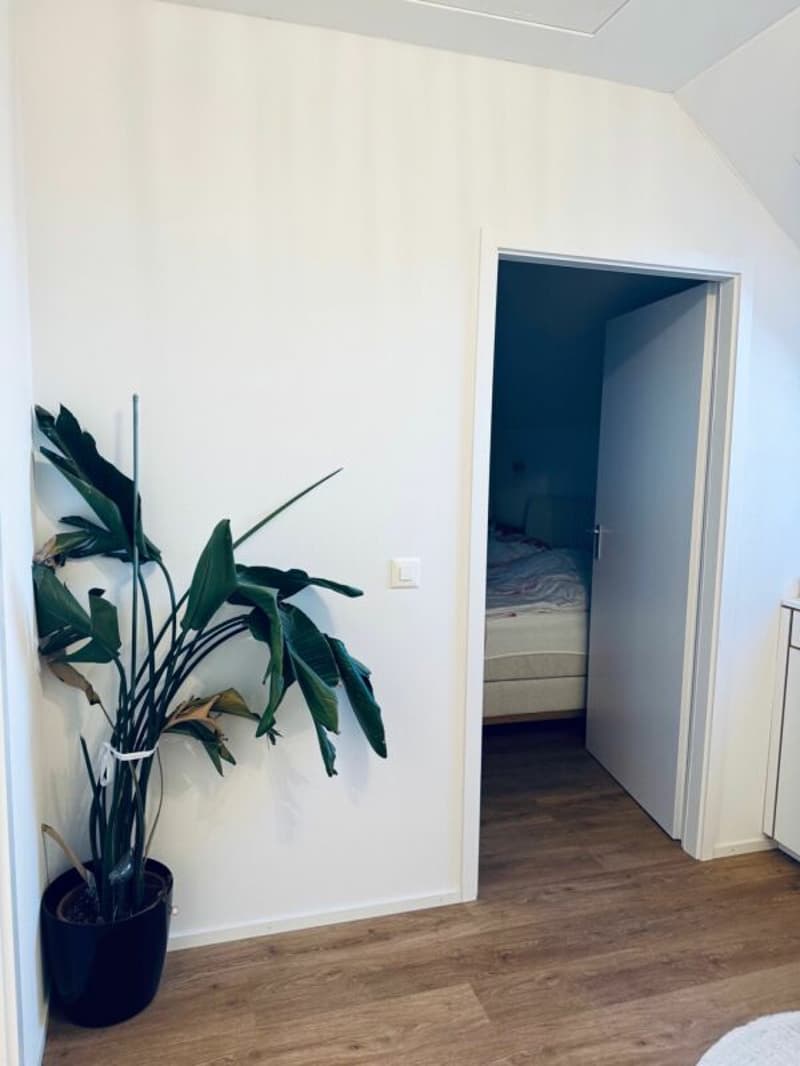 Maison unifamiliale à vendre avec réserve de terrain à bâtir CHF 1'030'000.- (13)