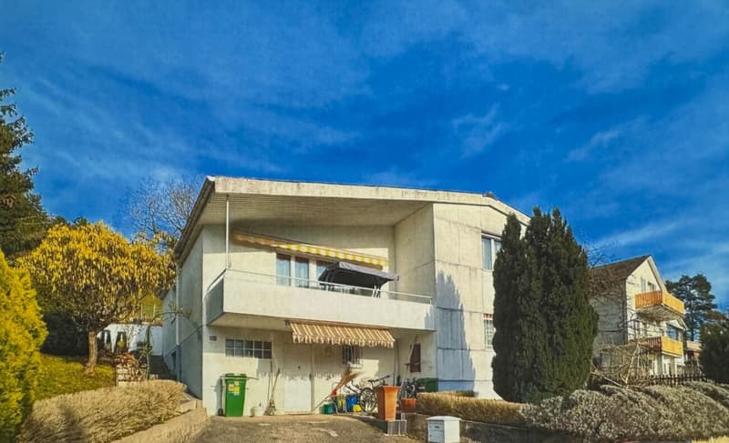 6.5 Zimmer Einfamilienhaus mit zusätzlich Bauprojekt. (1)