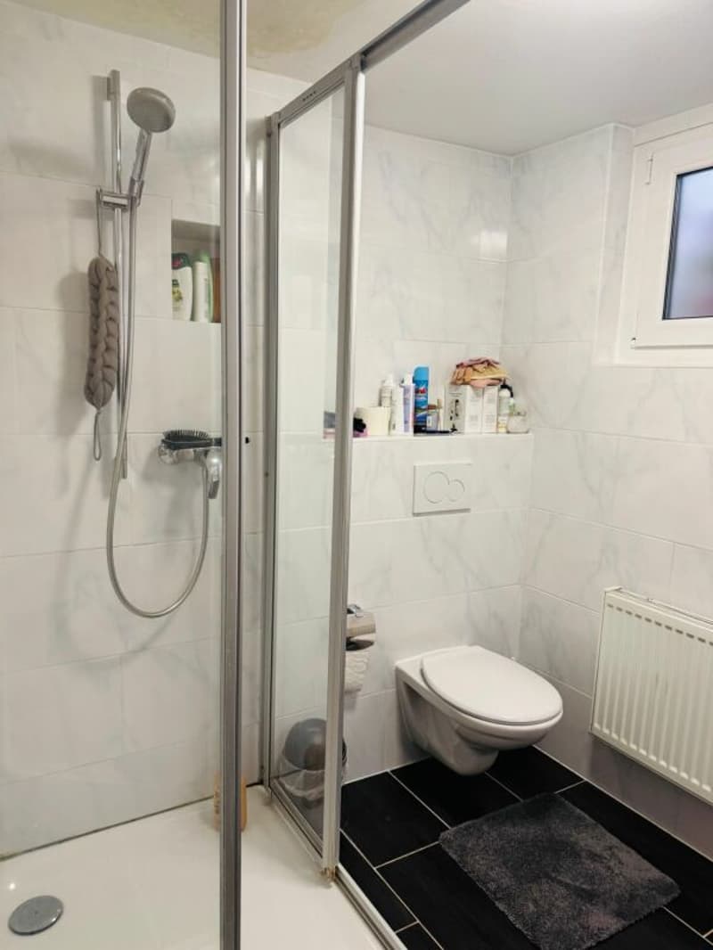 6.5 Zimmer Einfamilienhaus mit zusätzlich Bauprojekt. (15)
