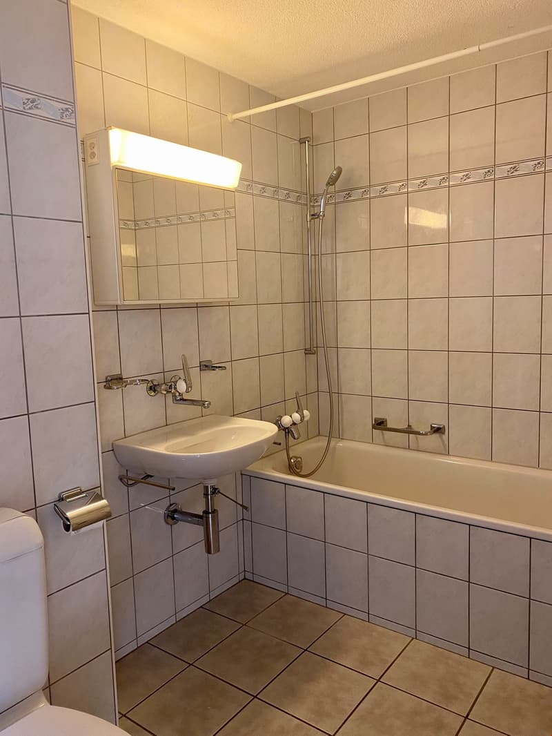Charming 3.5-room apartment with balcony and beautiful view in Teufenthal AG (9)