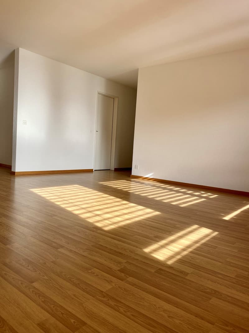 Charming 3.5-room apartment with balcony and beautiful view in Teufenthal AG (4)