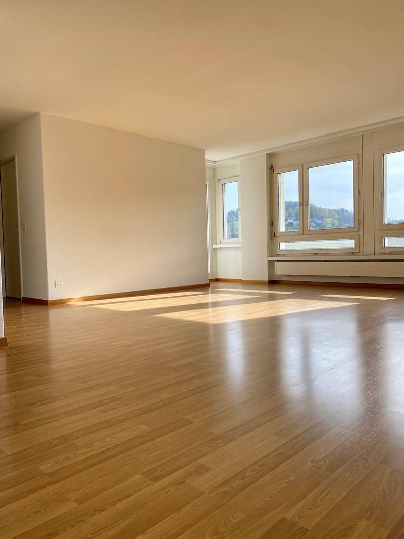 Charming 3.5-room apartment with balcony and beautiful view in Teufenthal AG (3)