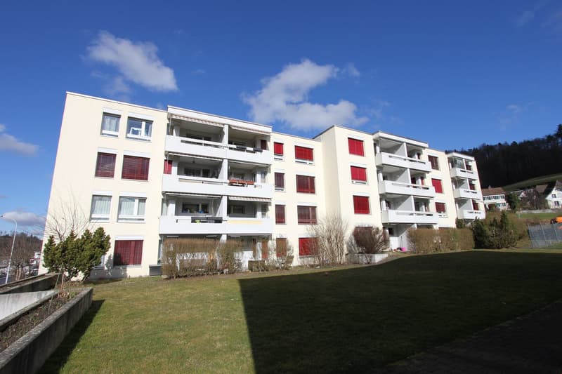 Charming 3.5-room apartment with balcony and beautiful view in Teufenthal AG (1)