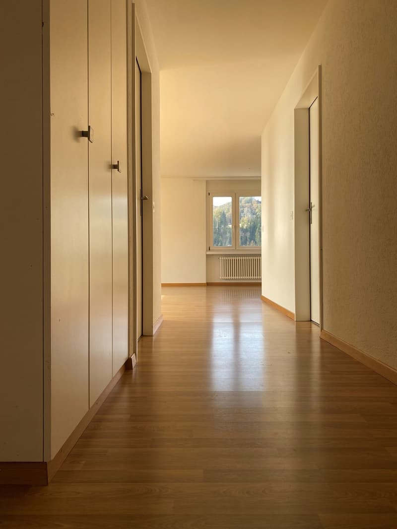 Charming 3.5-room apartment with balcony and beautiful view in Teufenthal AG (5)