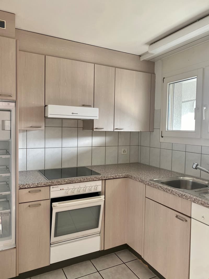 Charming 3.5-room apartment with balcony and beautiful view in Teufenthal AG (8)