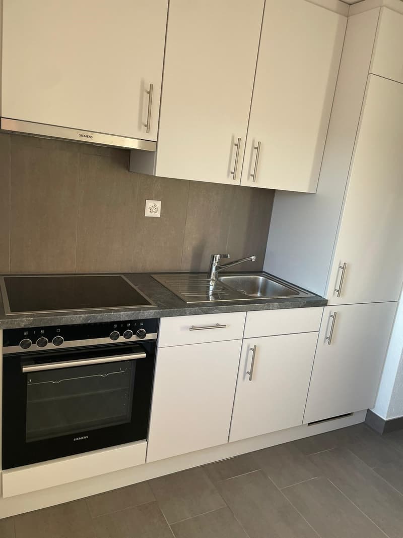 Modern 3.5-room apartment with balcony and view in Oftringen (2)