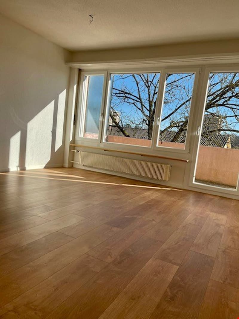 Ampio appartamento di 3 1/2 locali in posizione ottimale con vista panoramica (4)