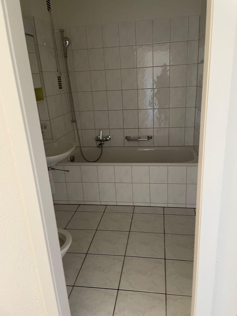 Ampio appartamento di 3 1/2 locali in posizione ottimale con vista panoramica (3)