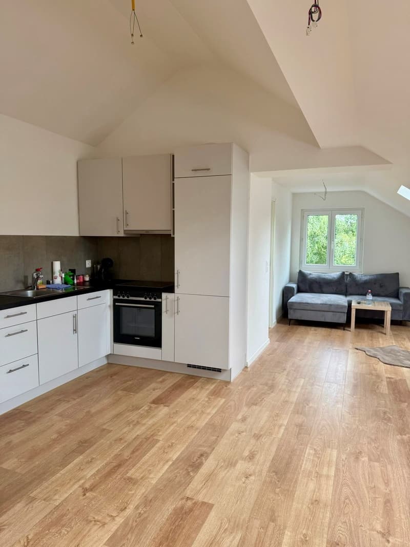 Moderne 2-Zimmer-Dachwohnung in ruhiger Lage von Seuzach (1)