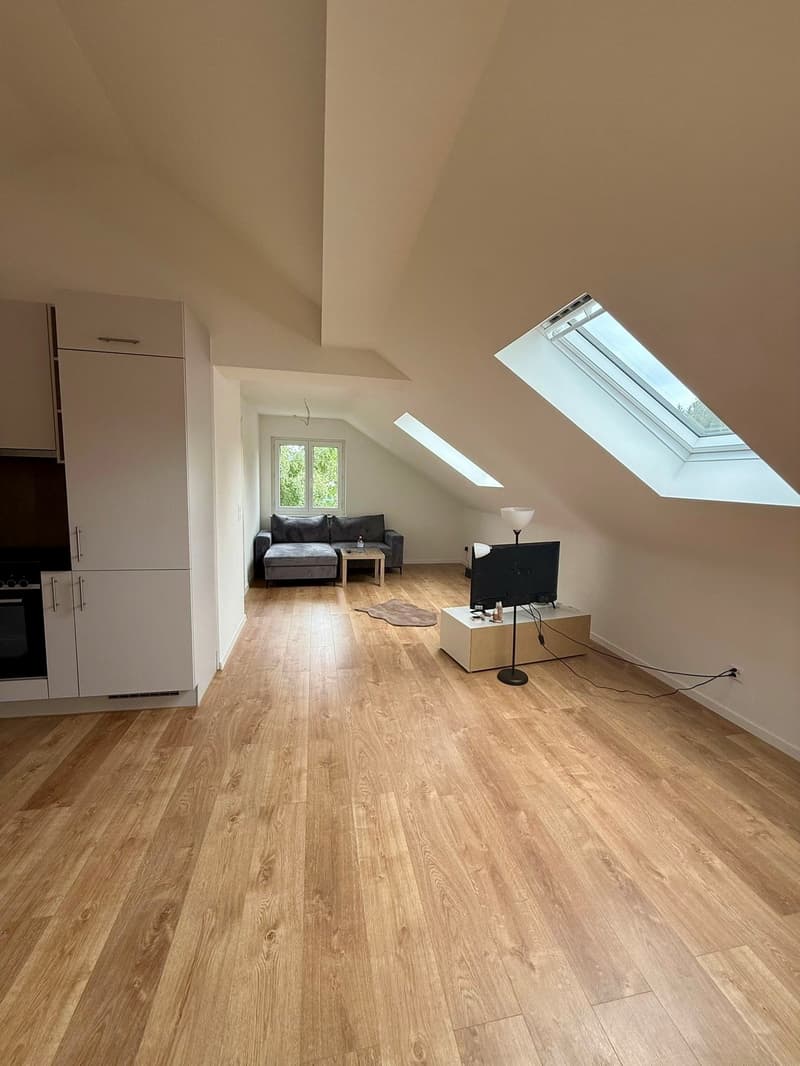 Moderne 2-Zimmer-Dachwohnung in ruhiger Lage von Seuzach (4)