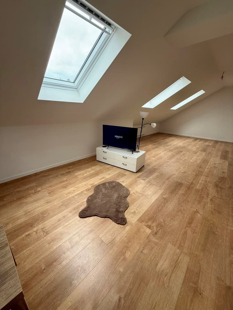 Moderne 2-Zimmer-Dachwohnung in ruhiger Lage von Seuzach (3)