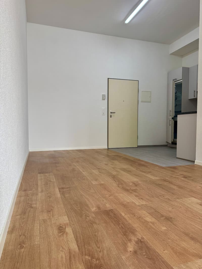 Gemütliches Studio-Apartment in Rümlang – sofort verfügbar! (4)