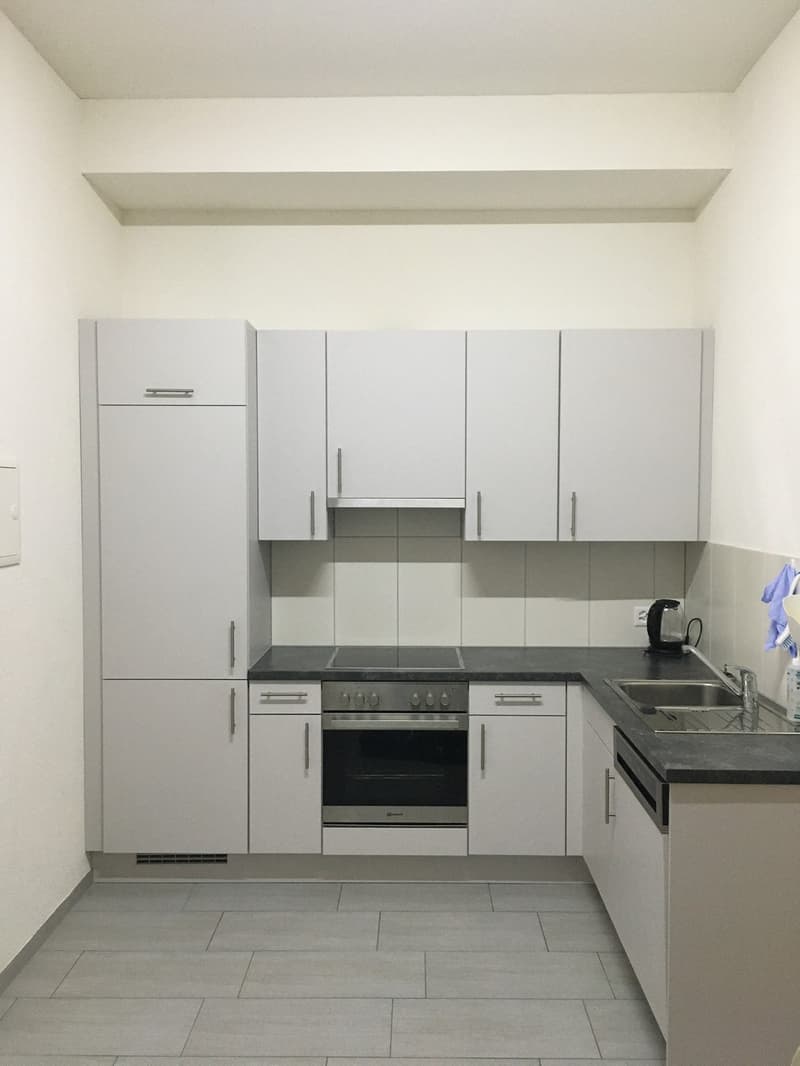 Gemütliches Studio-Apartment in Rümlang – sofort verfügbar! (1)