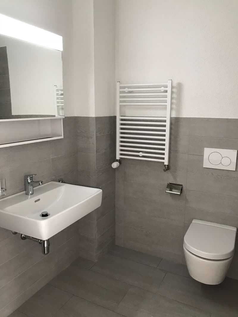 Gemütliches Studio-Apartment in Rümlang – sofort verfügbar! (2)