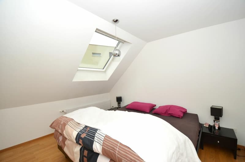 Traditional establishment with 6 rooms and 4.5 room attic apartment in the center of Matzingen (17)
