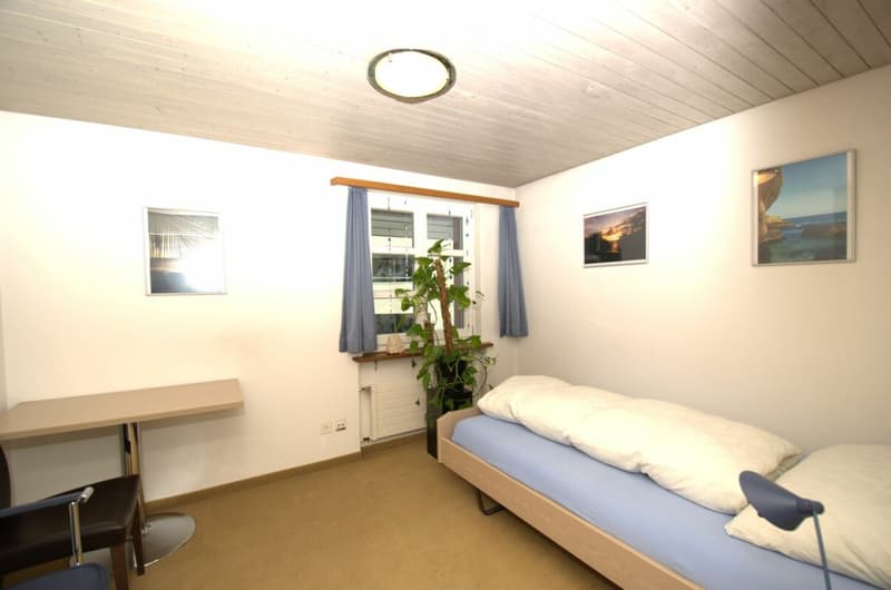 Traditional establishment with 6 rooms and 4.5 room attic apartment in the center of Matzingen (18)