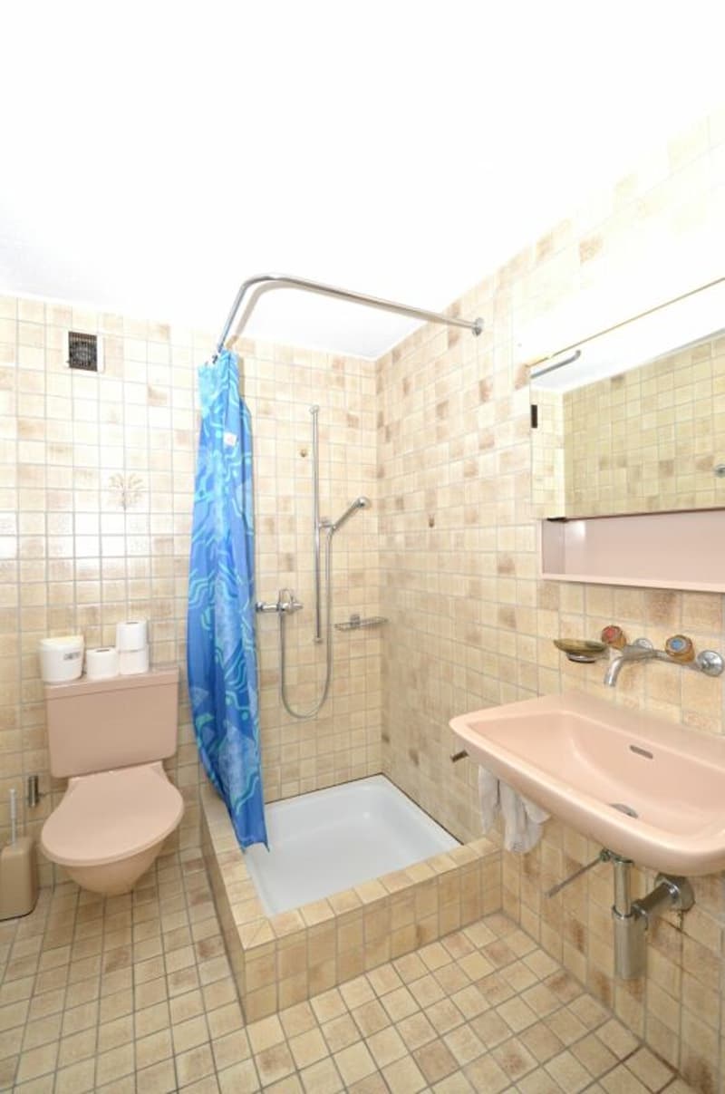 Traditional establishment with 6 rooms and 4.5 room attic apartment in the center of Matzingen (11)