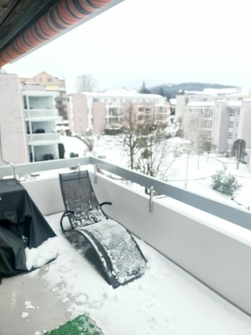 Oasi di benessere sulla pendice soleggiata di Gossau (14)