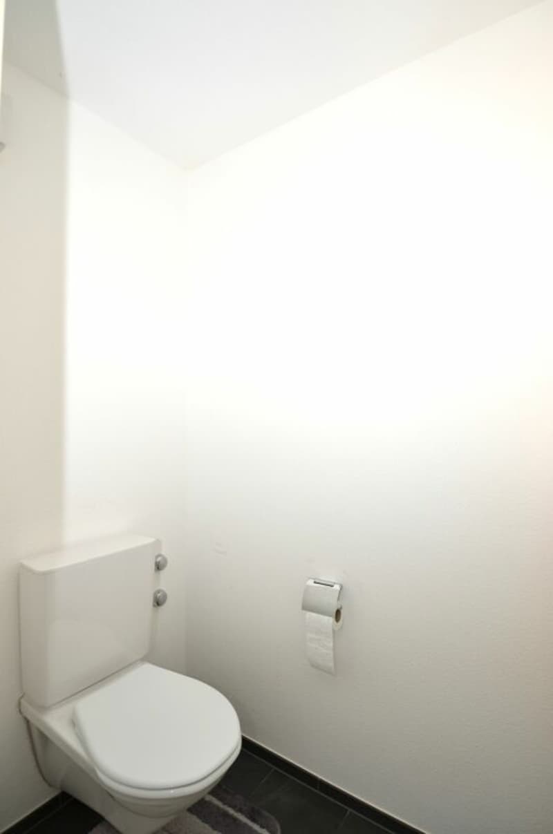 Oasi di benessere sulla pendice soleggiata di Gossau (9)