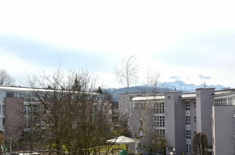 Oasi di benessere sulla pendice soleggiata di Gossau (15)