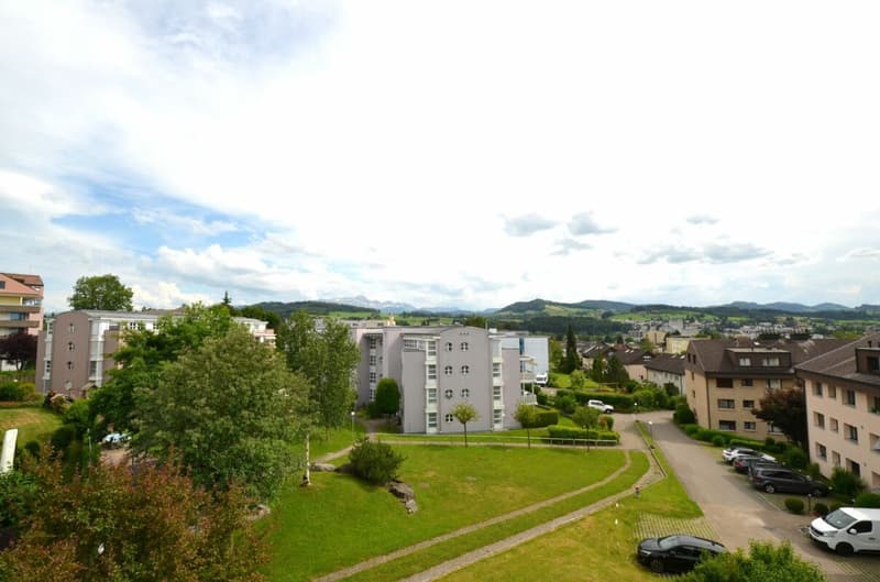 Cozy Oasis on the Sunny Slope of Gossau (12)