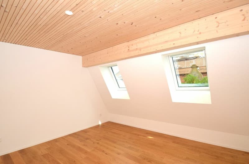 Sopra i tetti di Frauenfeld! - Appartamento da sogno nell'attico (10)