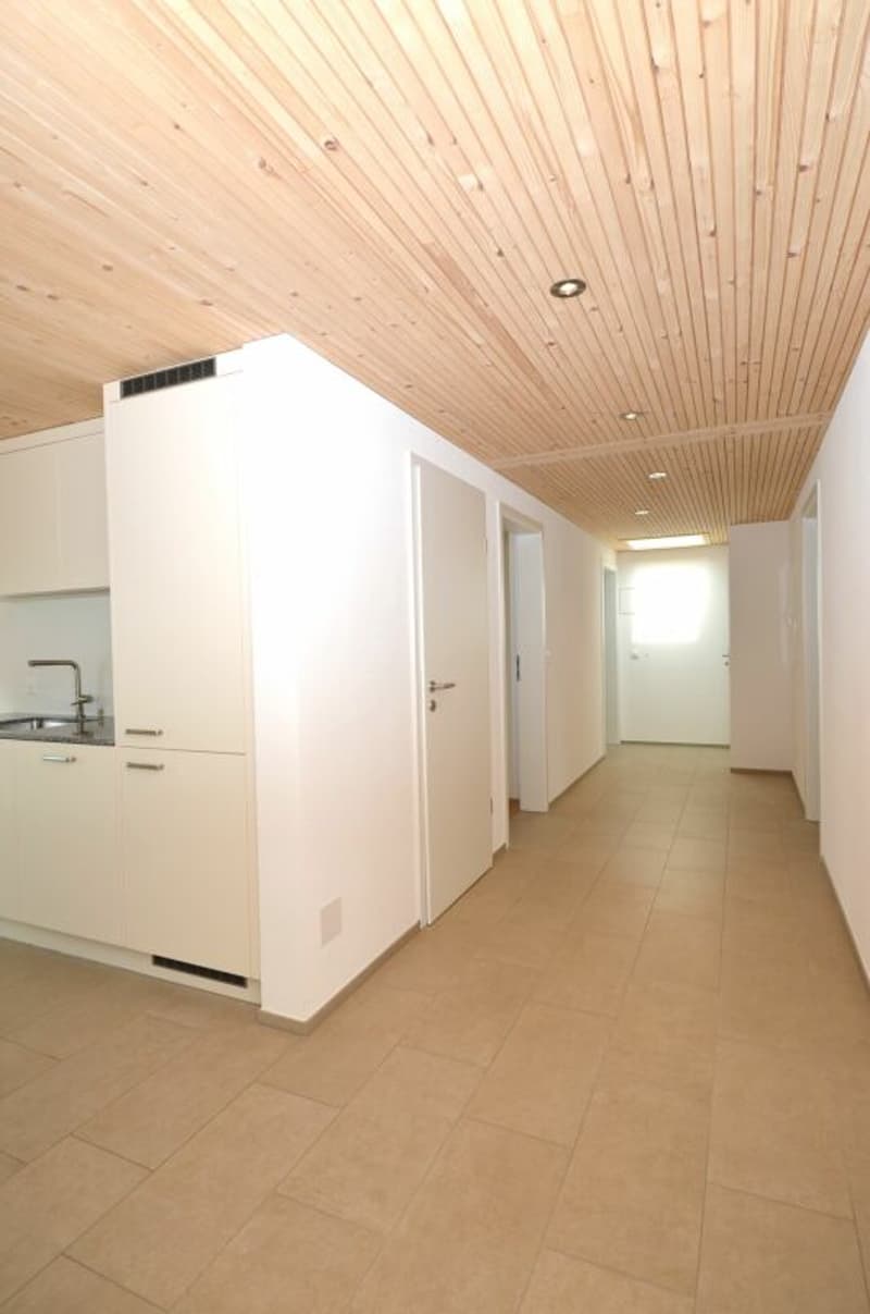 Sopra i tetti di Frauenfeld! - Appartamento da sogno nell'attico (7)