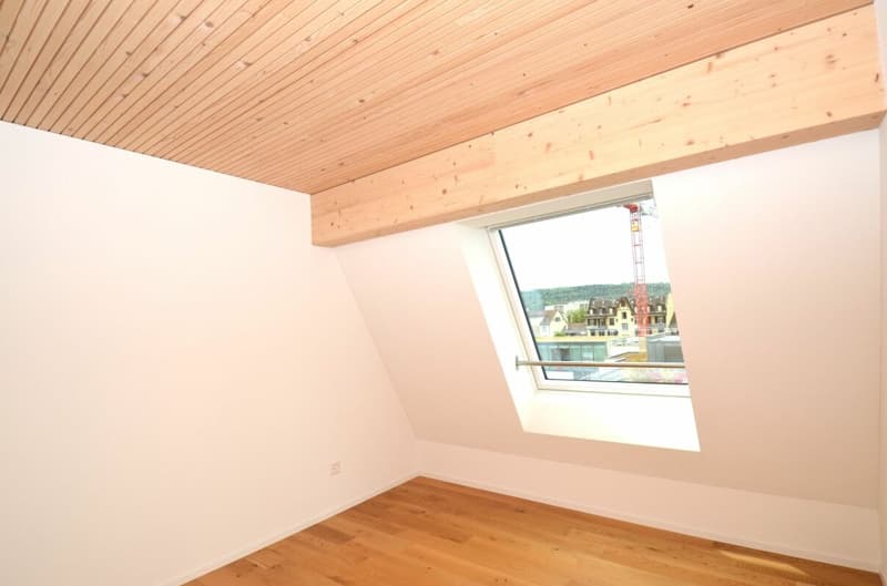 Sopra i tetti di Frauenfeld! - Appartamento da sogno nell'attico (9)