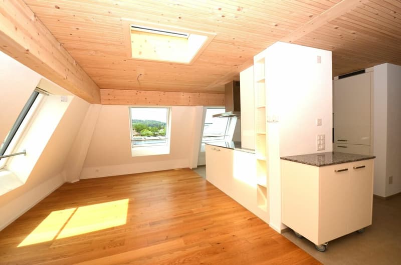 Sopra i tetti di Frauenfeld! - Appartamento da sogno nell'attico (3)