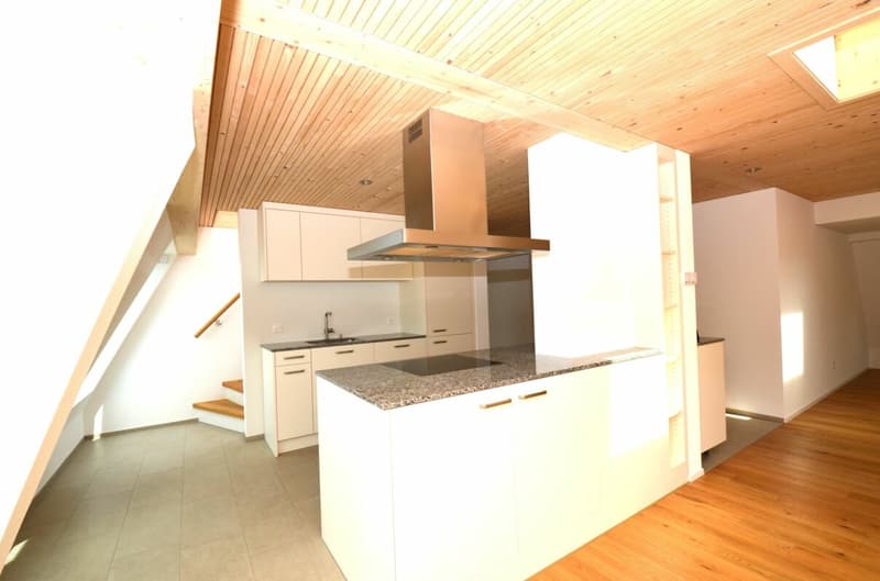 Sopra i tetti di Frauenfeld! - Appartamento da sogno nell'attico (4)