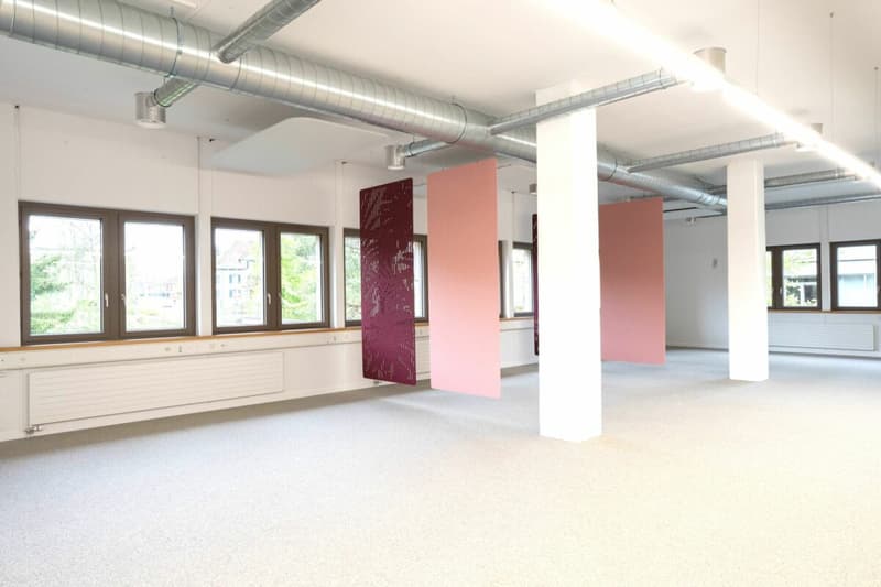 Uffici e/o locali di pratica di diverse dimensioni (161m² + 298m²) nel centro di Frauenfeld (4)