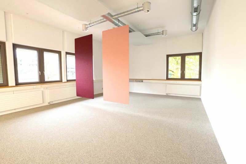 Uffici e/o locali di pratica di diverse dimensioni (161m² + 298m²) nel centro di Frauenfeld (8)
