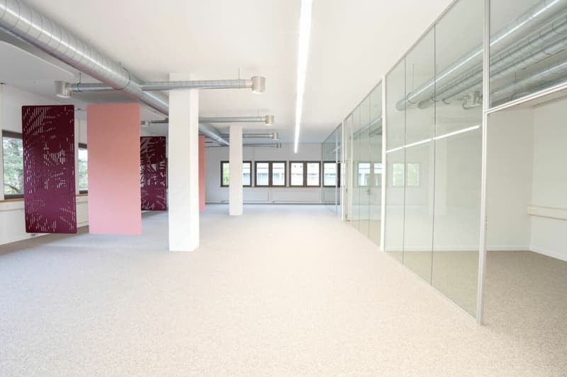 Uffici e/o locali di pratica di diverse dimensioni (161m² + 298m²) nel centro di Frauenfeld (3)