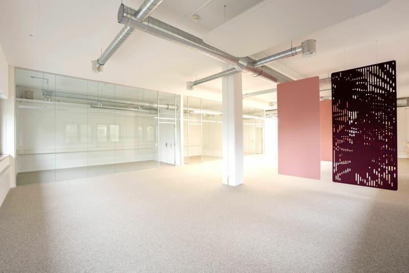 Uffici e/o locali di pratica di diverse dimensioni (161m² + 298m²) nel centro di Frauenfeld (5)