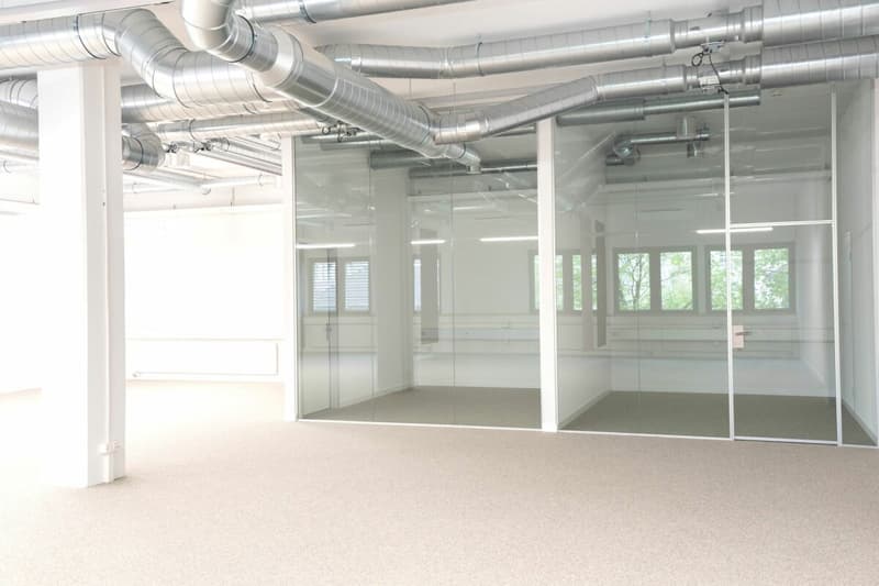 Uffici e/o locali di pratica di diverse dimensioni (161m² + 298m²) nel centro di Frauenfeld (6)