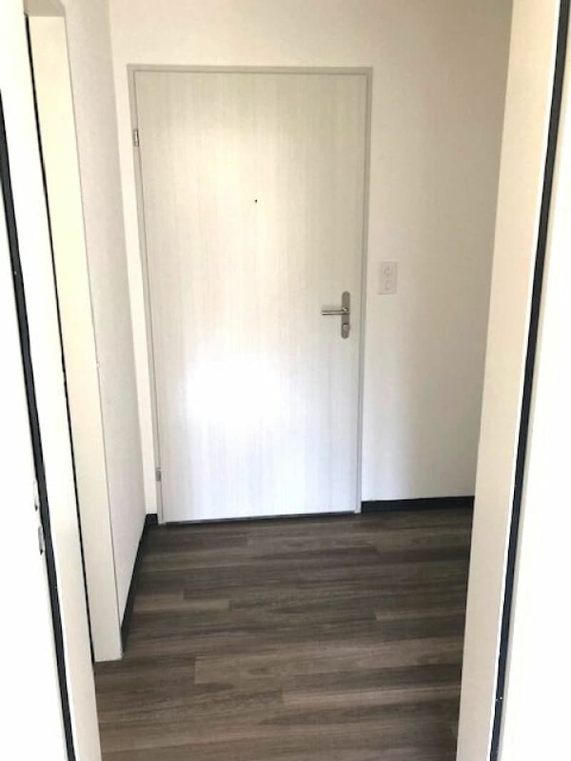 Ideal single apartment (3)